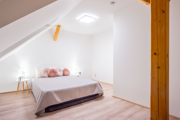 Mlýn Herlíkovice Apt. 4.06